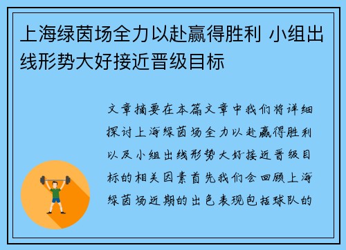 上海绿茵场全力以赴赢得胜利 小组出线形势大好接近晋级目标